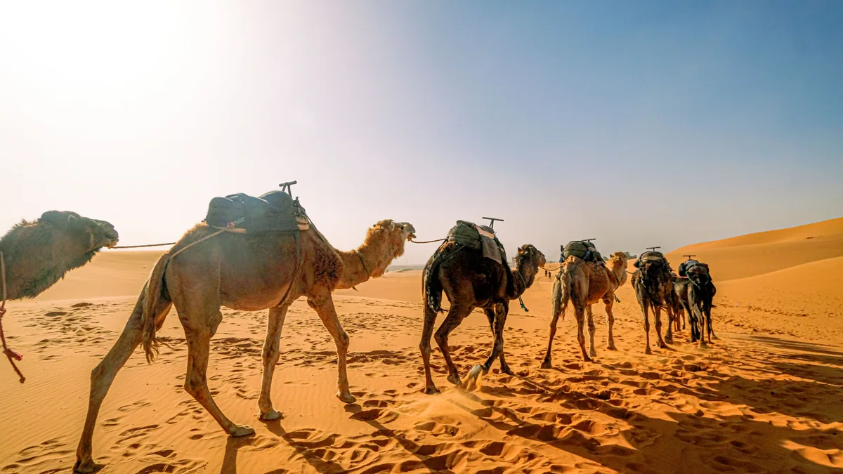 The Sahara on a travel eSIM Morocco plan